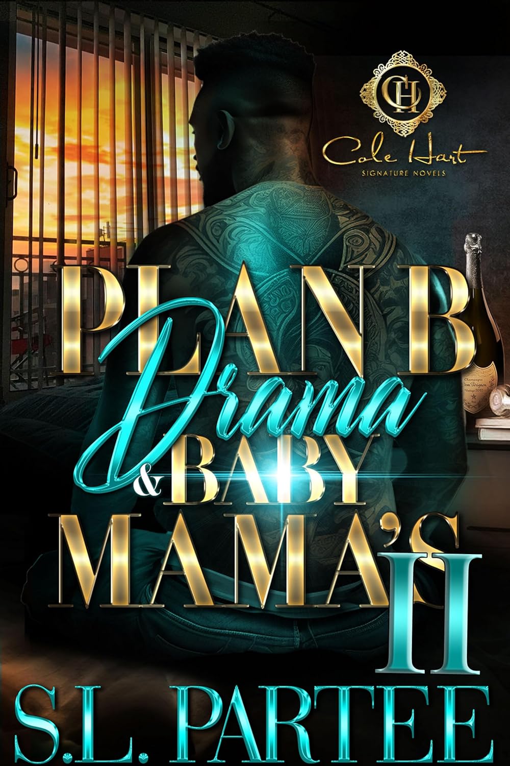 Plan B Drama & Baby Mama's 2: An African American Romance - NJ Corrections Book Store