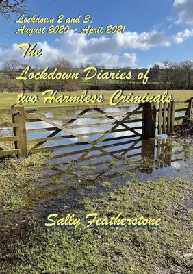 Lockdown Diary 2 by Featherstone, Sally