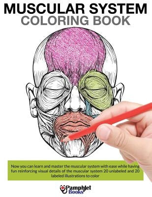 Muscular System Coloring Book by Books, Pamphlet