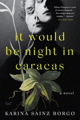 It Would Be Night in Caracas by Borgo, Karina Sainz